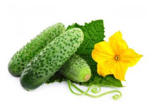 7e0701189565a074fea06c7086535050