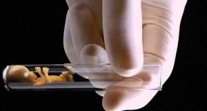 852cf10871c6e09efea6859833834b93