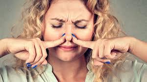 98e1583fa20e49708cb25a9cd7a89151