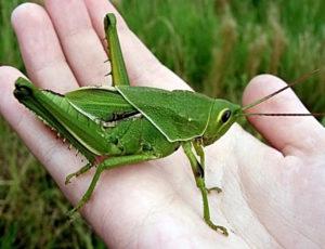 B2058b7a9151d3a61540c2089d1ef96d