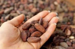 D3faf9d94b15a3ff515360c6e6d245af