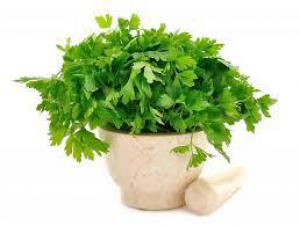 D54545f5fe90b327d1afabb55a30687d