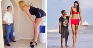 E1555e65fb3f68ff2954b911e6f3a81c