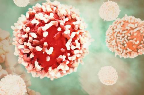 F0c2df65aaa6206aed4e718a882183f0