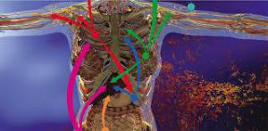 F4fe6c05bc87467aacc27024b9ad0132