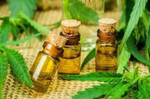 F9e6d8288b1ff6f26de4d4662a1e0843