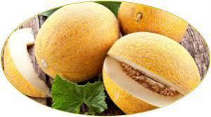 Fae781c11ae5780b00e64083e7fb22d8