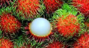 0b329b708898a5beab221d2af86bb7e7