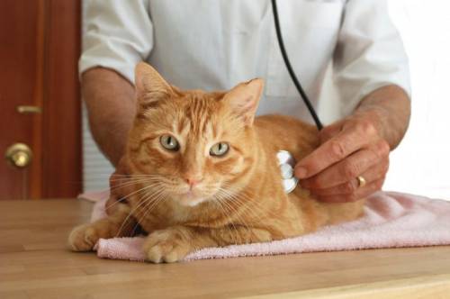 3097d2e588626ef0ffff89fc97dd6f7b