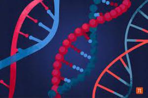 6748c149e5cb0343d4f99c298c998529