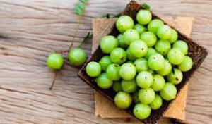 6d8a8750d8282a1734fc77184f92a20c