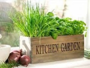 8aeba8436b2591e90e2847ea4606a32a