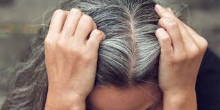 9125f13199afafb929deea0f487389a2