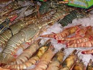 929e2379cbd99f1aaa6894f22aff8e98