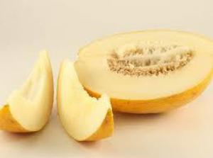 Aa21a7a3573ad7513cebb9152338103a