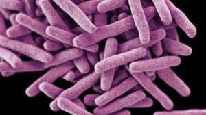 C5a5db60a12ed0326c16188e881e1735