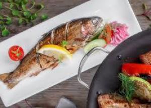 E00cdb9f8a4a13f875daafc9756fb3ef