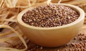 E97333356b7dbff68bf4a0efdcf213b2