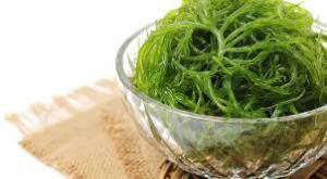 7161d1d33edc36aea3389e8ca41c1f36