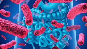 83bc7534e0bc74fb823a42316cdcd5d4