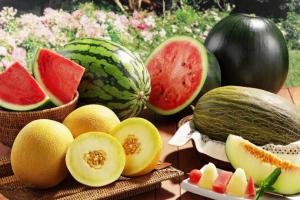 A9ac0c14d6521376c83fd63d9dcc90af