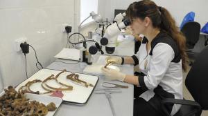 Bdac145ae3984bd55368a8500fed6e3a