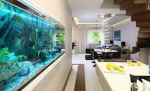 Ca0b3e2e7b84b087fb10cd7e01e7bfcb