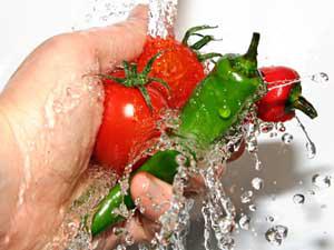 E3625fd8db0e9be87a4f6f29c1fedfd2