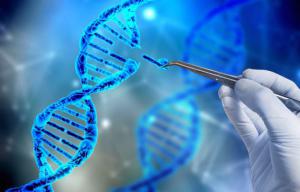 3d24539139c60576e74faf20d055f7ac