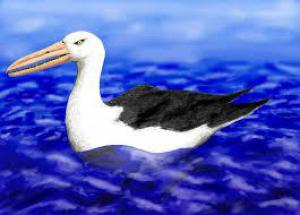 4e6f2aedb716b7efa58bf682c1d99f70