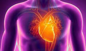 65999b1952bab19005f2328b95e8dc48