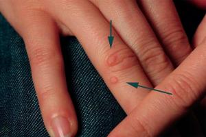 6b638bb4ee1e43a185abeb3055d847e7