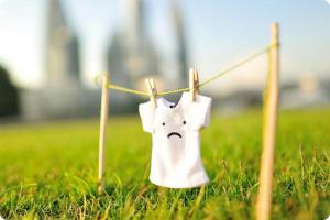 B8d24e80dd5158af33d7b4df782df89e