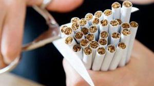 C081706114fdf3aa9979da4a17a58ef4