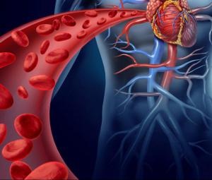 Ccff496f0285ab3eff411b268ae40b1a