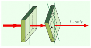 E31bddfc29bc6d07390972a8e5654798