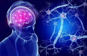 176033166ce393ef4266a21bb7ef5b5e