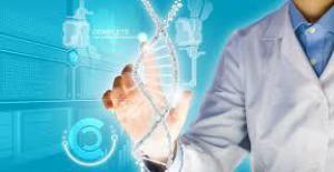 3bfacf7dede0256515fa6364a5220454