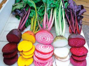 40cf39679819e2eebaeec0ef02ade15c