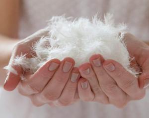 42fd3f4b44e542b61051c2823e61987a