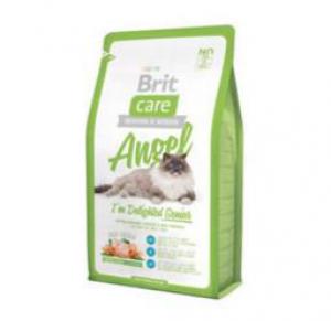 4b1c363bcee5217a8874e3e1a15c39ea