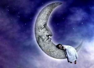 6a5ec8fcfa3d2a5328019191752bcbaa