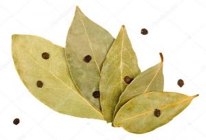 8820158f79ee204eb913d73236b433b3