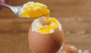 A9315d92bbd4ee57c3f0b78ddd908d3f