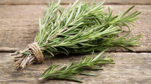 B2085efb030231e7a4b9cb37f616d11c