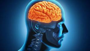 Bc50dad4c22af01c9bbf6bc3c6b26e8a