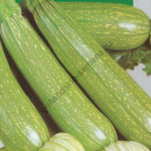 Fe2ce4d6f48835ba5e5287acedf42f71