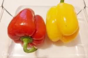 201b0b11c1fc77e9c52e1099bca42057