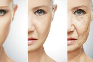 2c5ee0d2914582f450d4030bc8aff2a2