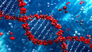 33d14d43664cc561124f190c07cc35d9